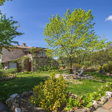 Ca'Novae - Tuscany Farmhouse Montieri Buitenkant foto